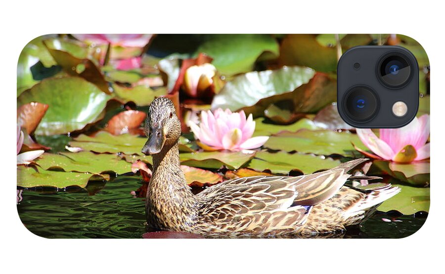 Lilies iPhone 13 Case featuring the photograph Duck in the Water Lilies by Amanda Mohler