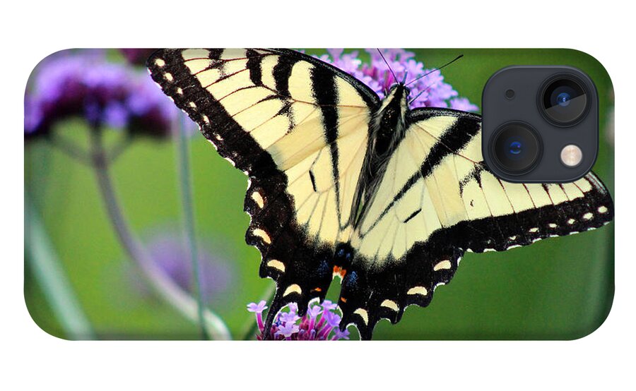 Eastern Tiger Swallowtail Butterfly iPhone 13 Case featuring the photograph Eastern Tiger Swallowtail Butterfly 2014 by Karen Adams