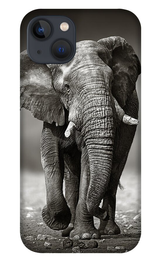 #faatoppicks iPhone 13 Case featuring the photograph Elephant approach from the front by Johan Swanepoel