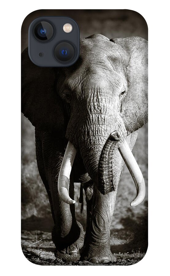 Elephant iPhone 13 Case featuring the photograph Elephant Bull by Johan Swanepoel