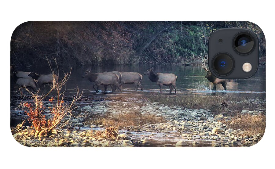 Elk iPhone 13 Case featuring the photograph Elk Crossing the Buffalo River by Michael Dougherty