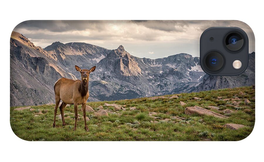 Scenics iPhone 13 Case featuring the photograph Elk In The Mountains, Rocky Mountain by Michael Riffle