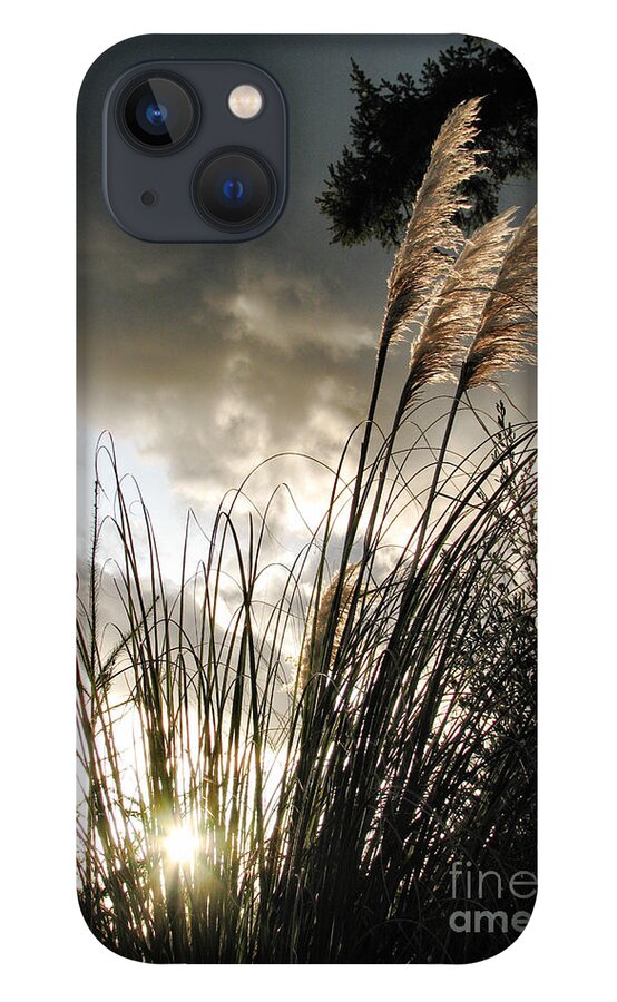 Landscape iPhone 13 Case featuring the photograph Embracing The Mystery by Rory Siegel