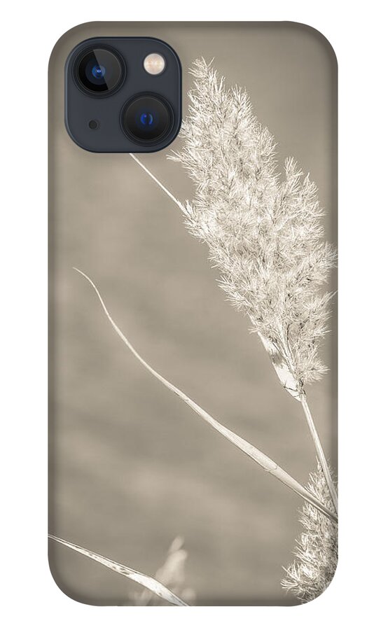 Putnam County iPhone 13 Case featuring the photograph End of Season 1 by Frank Mari