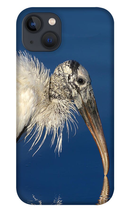 Woodstork iPhone 13 Case featuring the photograph Endangered Woodstork Reflection by Kathy Baccari
