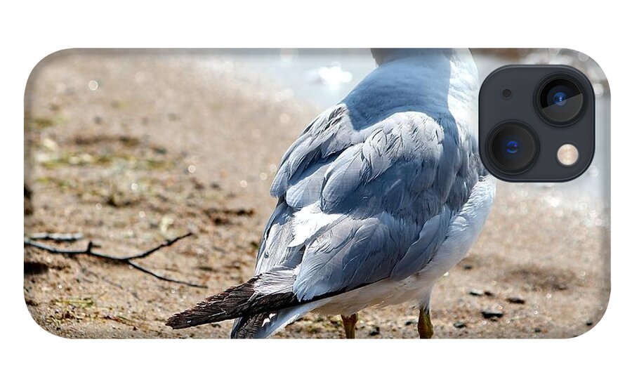 Seagull iPhone 13 Case featuring the photograph Enjoying the view by Deena Withycombe