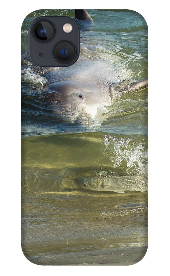 Dolphin iPhone 13 Case featuring the photograph Eye Spy by Patricia Schaefer