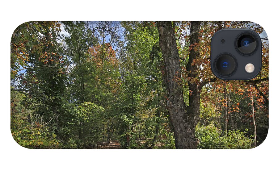 Tim Fitzharris iPhone 13 Case featuring the photograph Fall Forest Trail Ozark-saint Francis by Tim Fitzharris