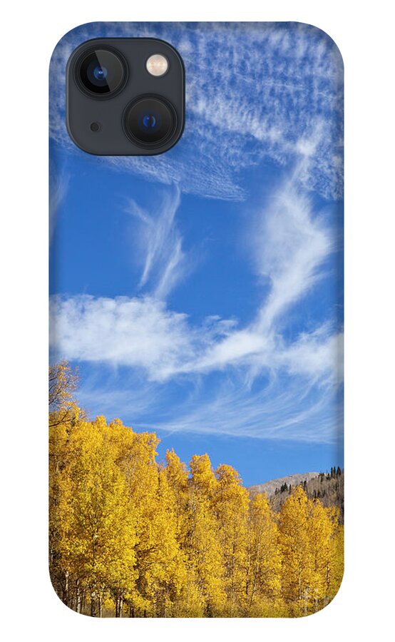 00559145 iPhone 13 Case featuring the photograph Quaking Aspens in Fall by Yva Momatiuk John Eastcott