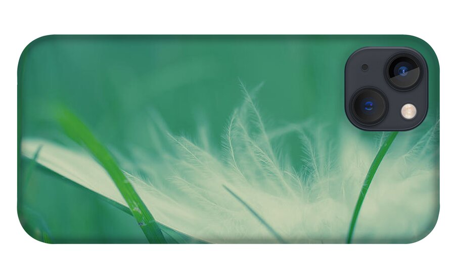 Tranquility iPhone 13 Case featuring the photograph Feather by Photography By Lana Galina