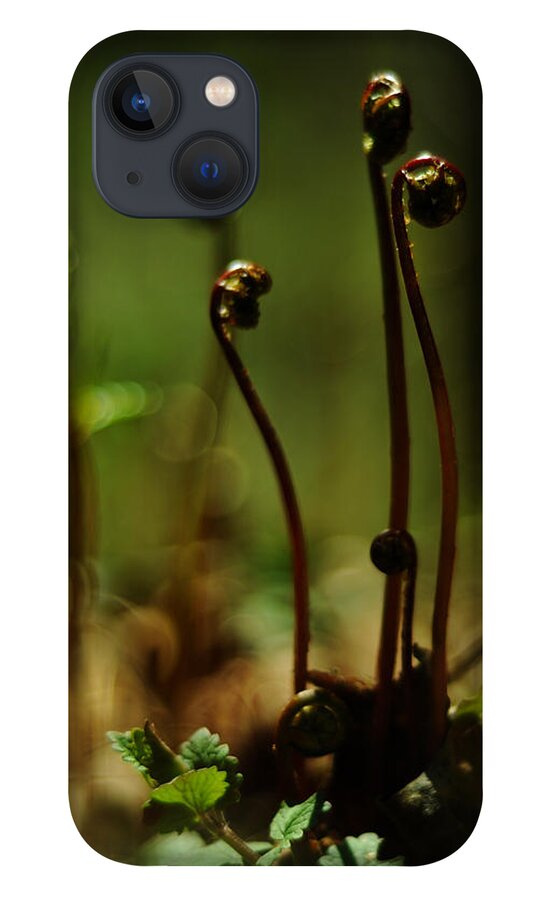Fern iPhone 13 Case featuring the photograph Fern Emergent by Rebecca Sherman