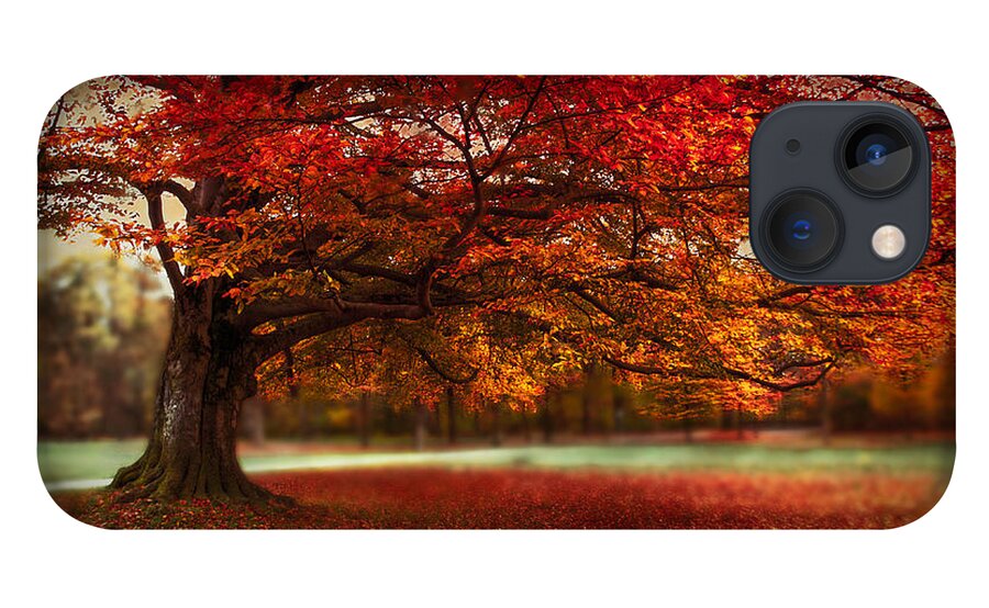 Autumn iPhone 13 Case featuring the photograph Finest Fall by Hannes Cmarits