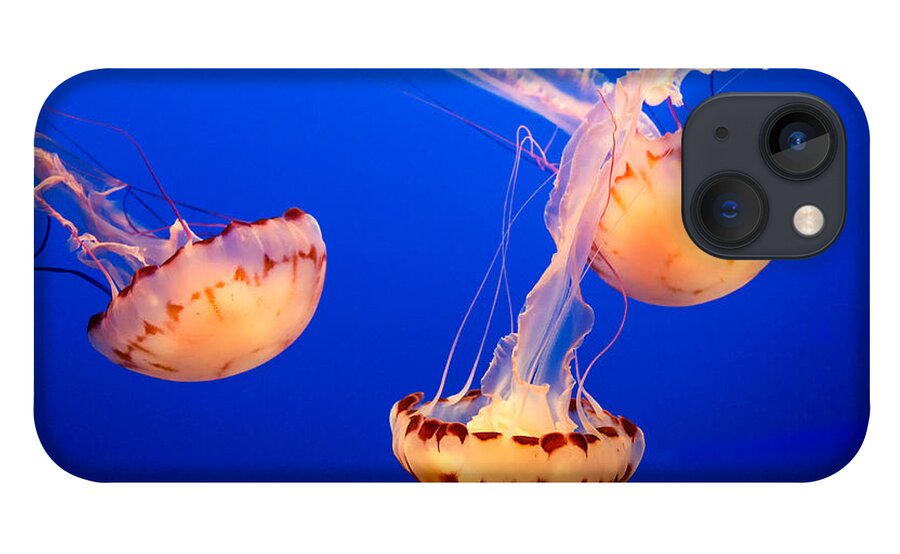 Jelly Fish iPhone 13 Case featuring the photograph Floating Lanterns by Mimi Ditchie