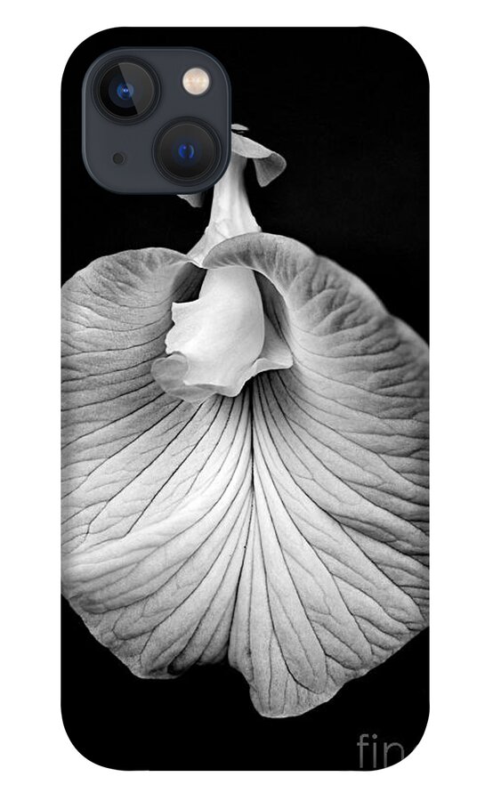 Flower iPhone 13 Case featuring the photograph Flower_1 by Russell Brown