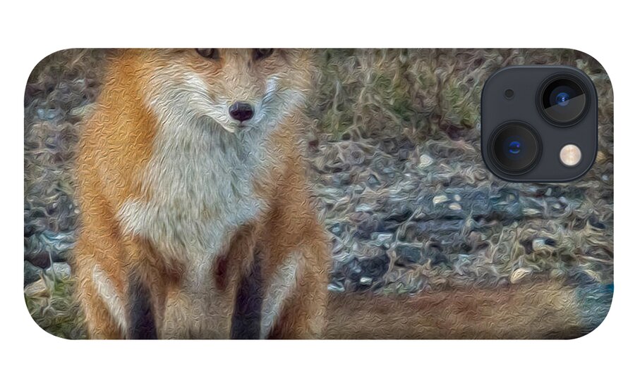Fox iPhone 13 Case featuring the photograph Fox In Oil by Cathy Kovarik