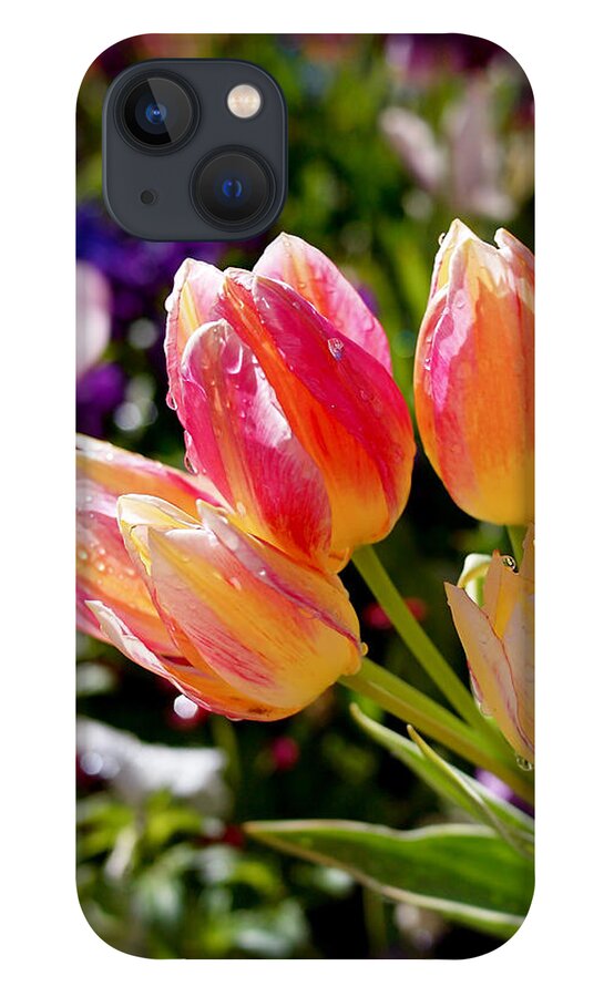 Tulips iPhone 13 Case featuring the photograph Fresh Tulips by Rona Black