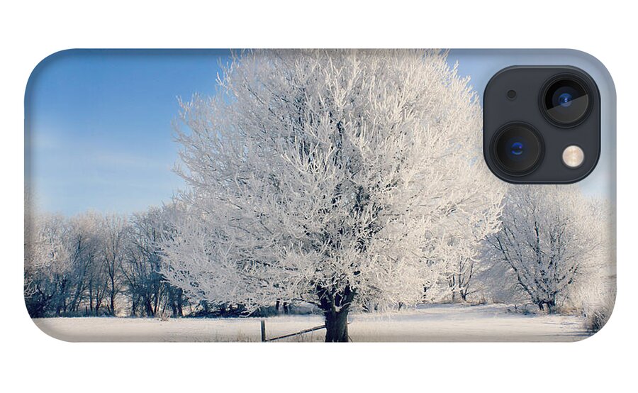 Tree iPhone 13 Case featuring the photograph Frosty Glow by Julie Hamilton