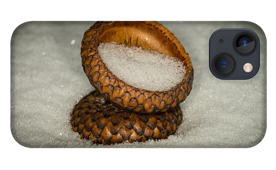 Nature Photograph iPhone 13 Case featuring the photograph Frozen Acorn Cupule by Paul Freidlund