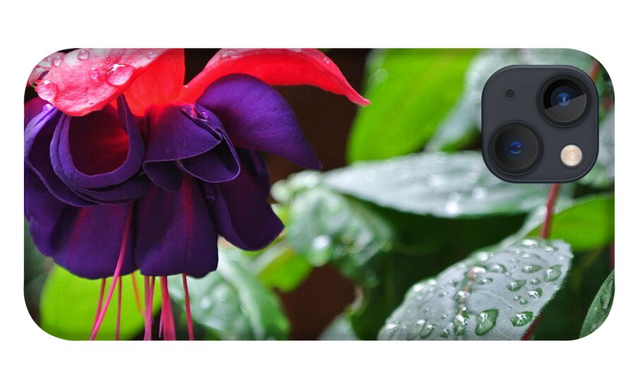  iPhone 13 Case featuring the photograph Fuchsia After Rain by Sharron Cuthbertson