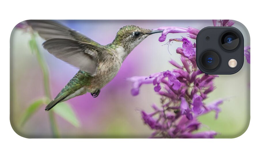 Hummingbird iPhone 13 Case featuring the photograph Garden Friend by Jean-Pierre Ducondi