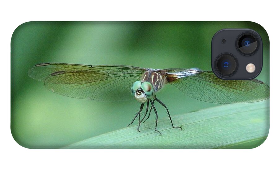Dragonfly iPhone 13 Case featuring the photograph Get a Grip by Cleaster Cotton
