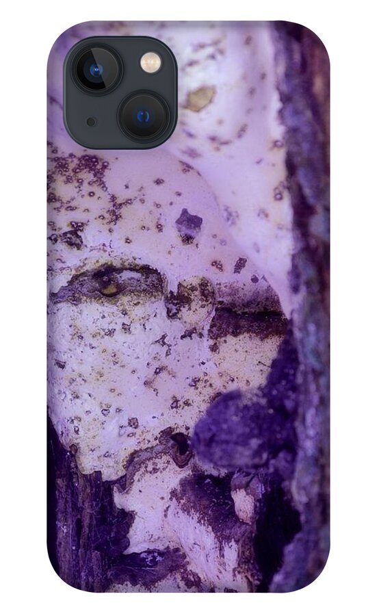 Ghost iPhone 13 Case featuring the photograph Ghost in the Tree by Laureen Murtha Menzl
