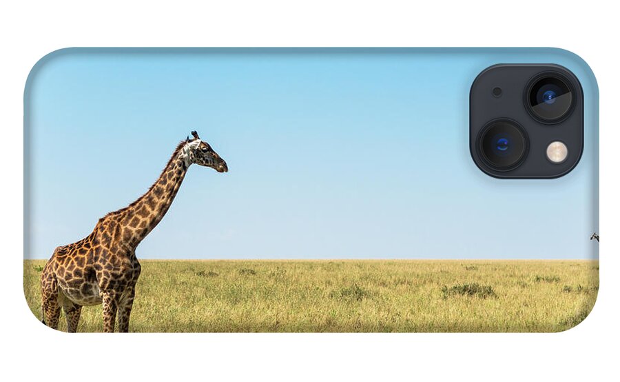 Tranquility iPhone 13 Case featuring the photograph Giraffes On Savannah Grassland by Mike Hill