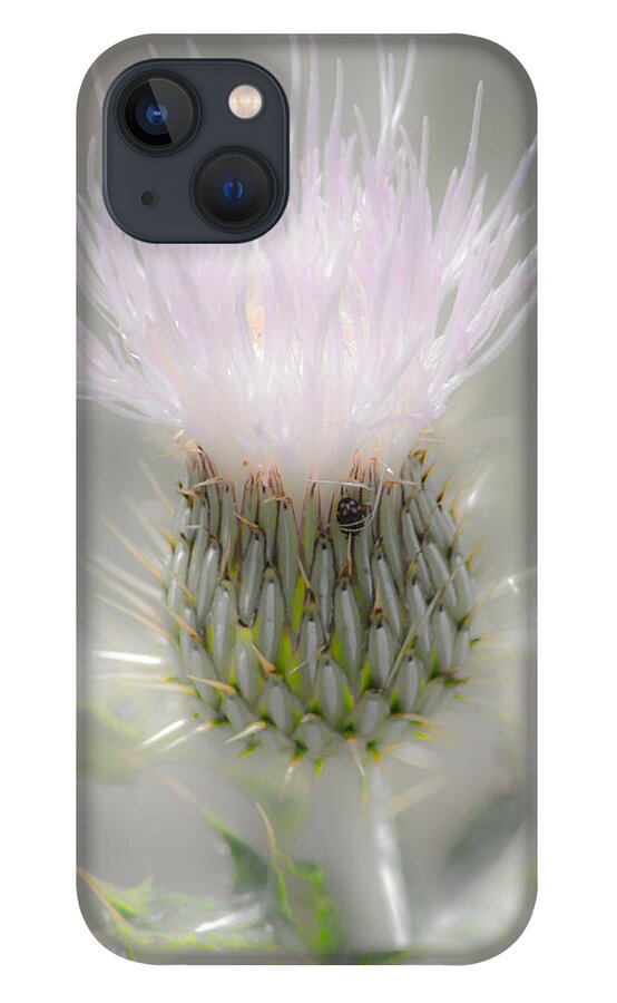 Glimmering Thistle iPhone 13 Case featuring the photograph Glimmering Thistle by Debra Martz