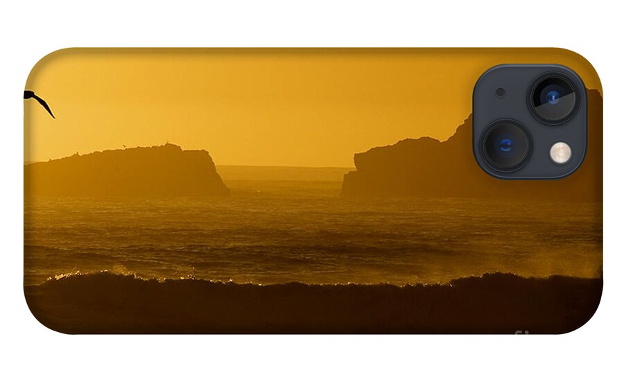 Piedras Blancas iPhone 13 Case featuring the photograph Golden Coast by Kathleen Gauthier