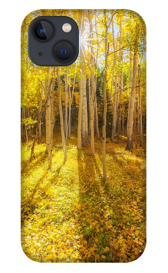 Aspens iPhone 13 Case featuring the photograph Golden by Darren White