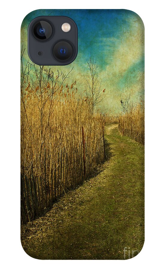 Festblues iPhone 13 Case featuring the photograph Golden Summer Days... by Nina Stavlund