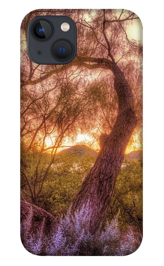 Tree iPhone 13 Case featuring the photograph Golden Tree at the Quartz Mountains - Oklahoma by Jason Politte