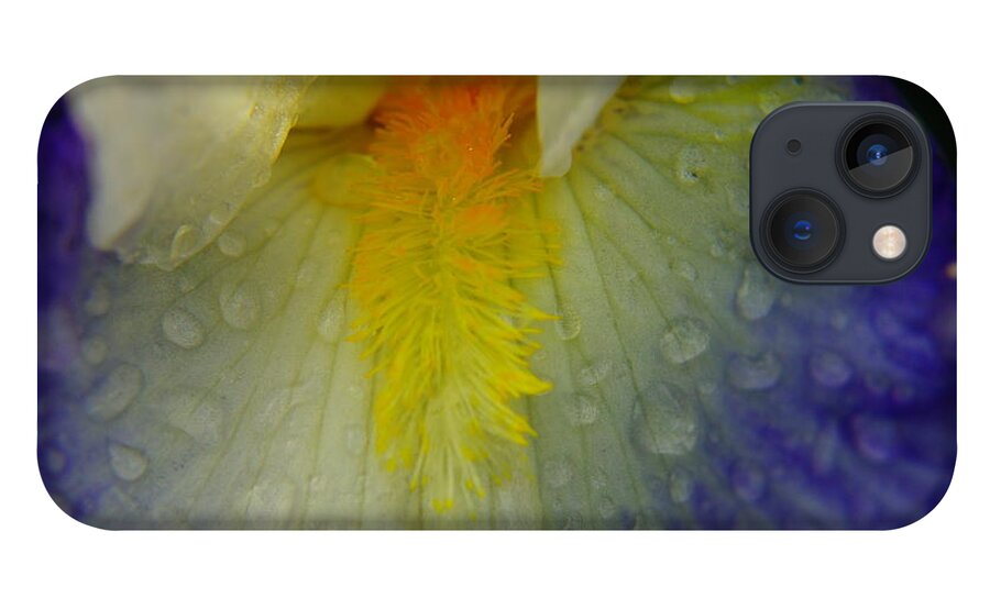 Water Drops iPhone 13 Case featuring the photograph Great Beauty In Tiny Places by Jeff Swan
