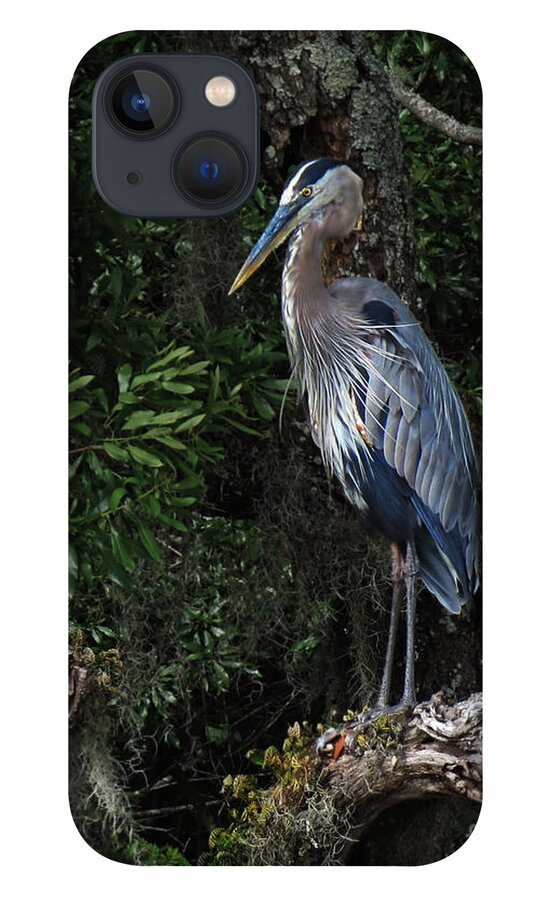 Bird iPhone 13 Case featuring the photograph Great Blue Heron by Deborah Smith