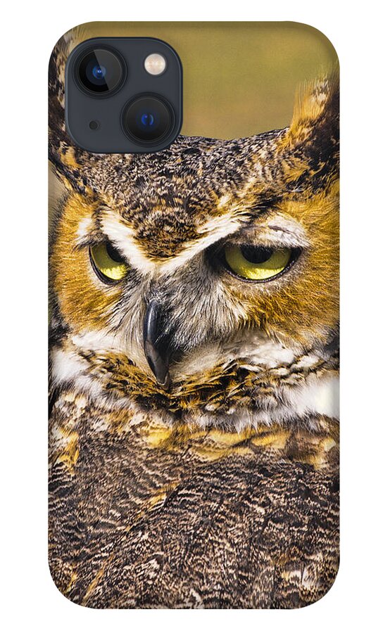 Owl iPhone 13 Case featuring the photograph Great Horned Owl by Betty Eich