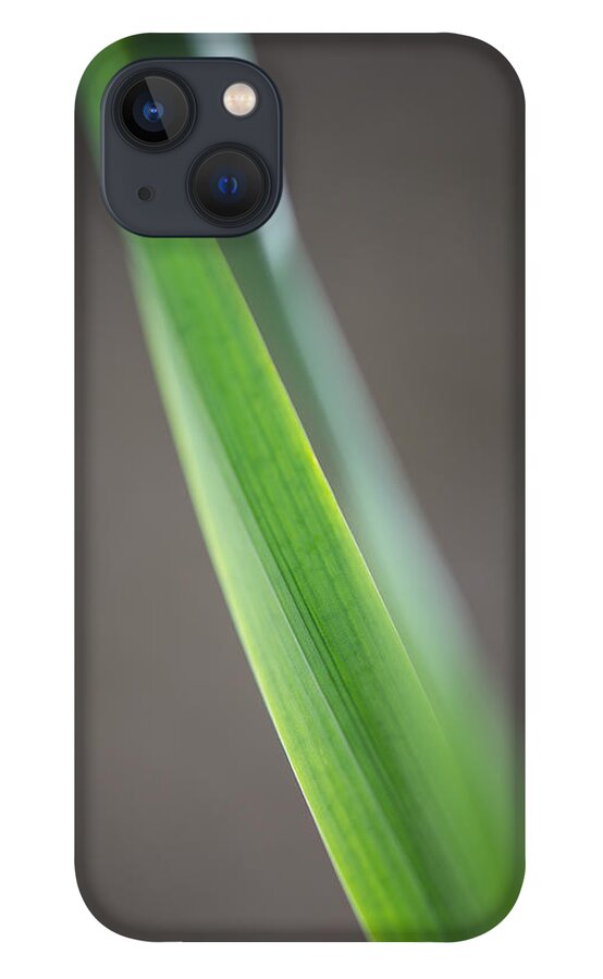 Abstract iPhone 13 Case featuring the photograph Green Abstract by Robert Mitchell