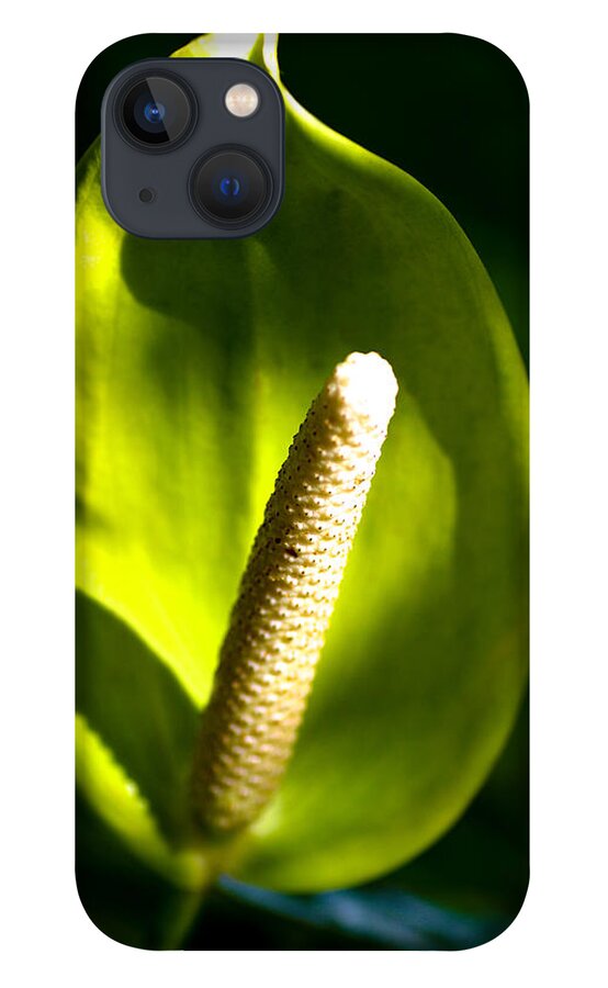 Green iPhone 13 Case featuring the photograph Green Anthurium by Will Wagner