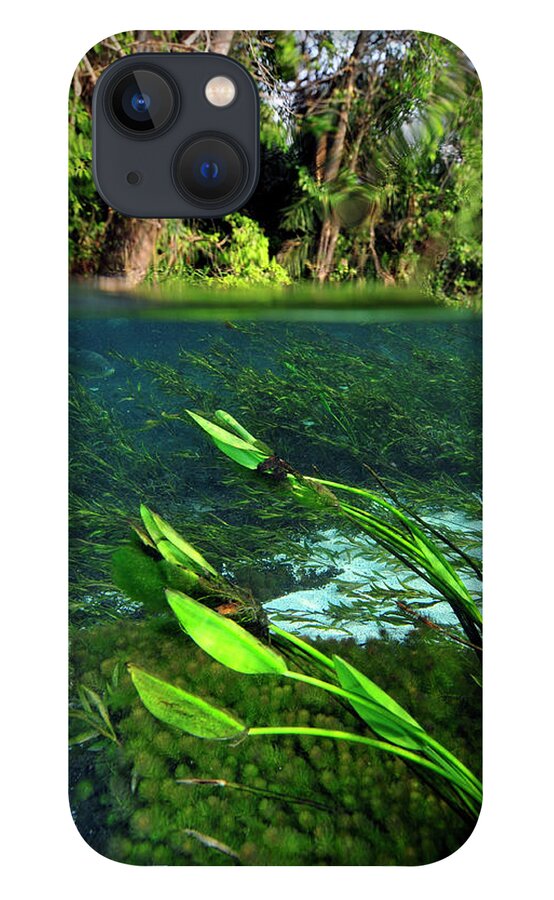 Underwater iPhone 13 Case featuring the photograph Green flow by Artesub