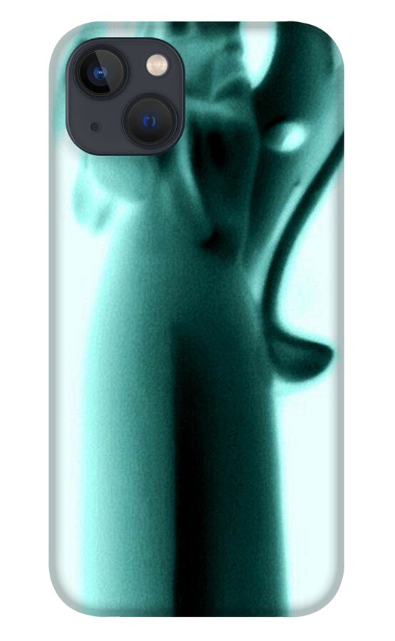Digital Photography iPhone 13 Case featuring the photograph Guardian by Linda N La Rose