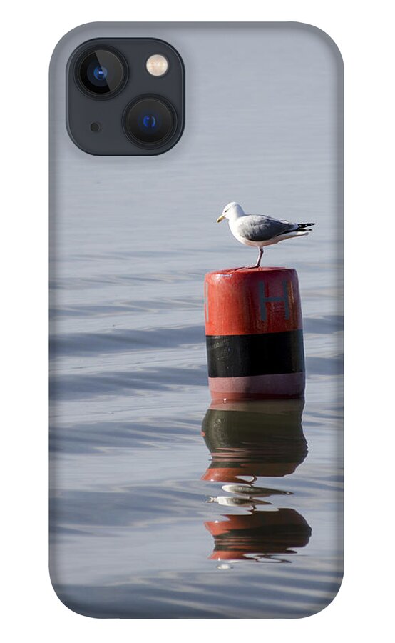 Sand iPhone 13 Case featuring the photograph Gull by Spikey Mouse Photography