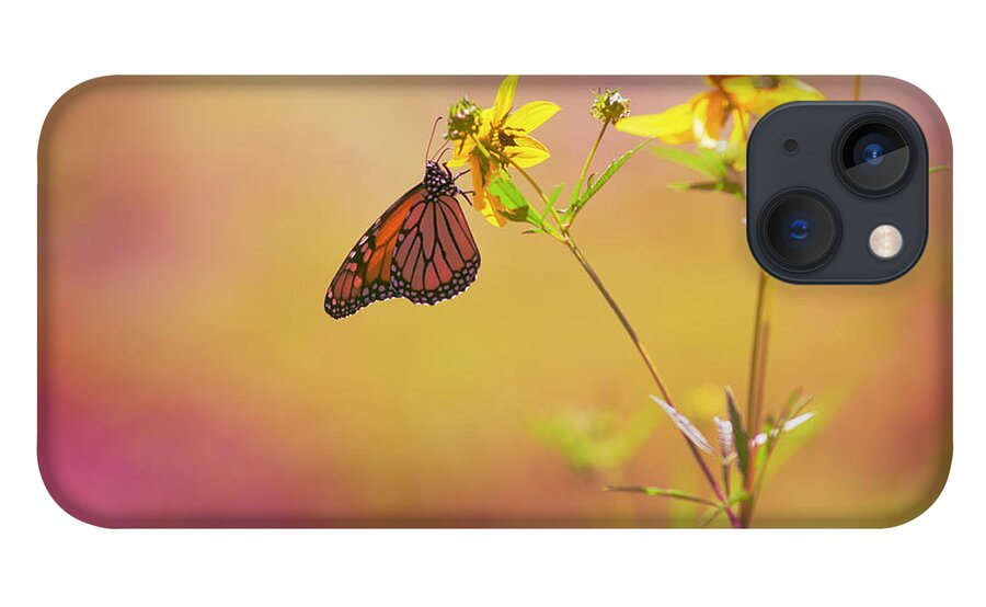 Monarch iPhone 13 Case featuring the photograph Hang by Joel Olives