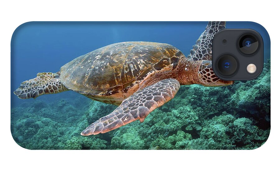 Underwater iPhone 13 Case featuring the photograph Hawaiian Green Sea Turtle, Kona, Hawaii by Stevedunleavy.com