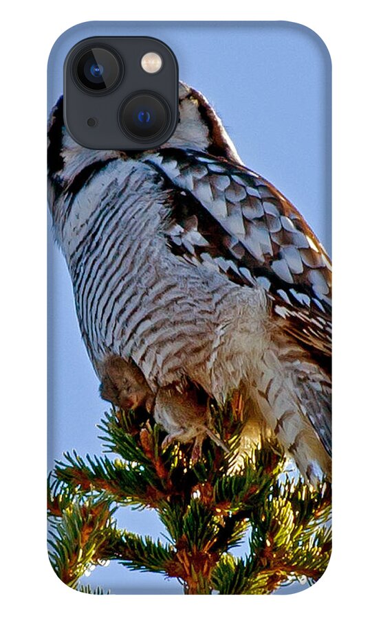Hawk Owl Square iPhone 13 Case featuring the photograph Hawk Owl square by Torbjorn Swenelius