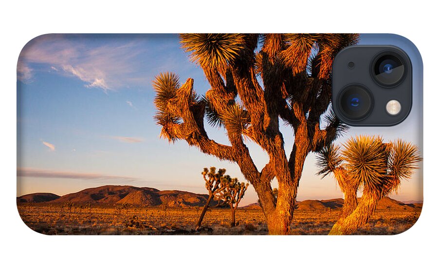 Joshua Tree iPhone 13 Case featuring the photograph Hello beautiful by Kunal Mehra