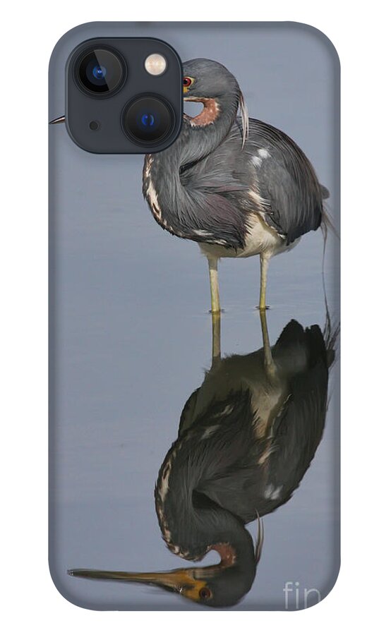 Heron iPhone 13 Case featuring the photograph Heron Reflections by Jayne Carney