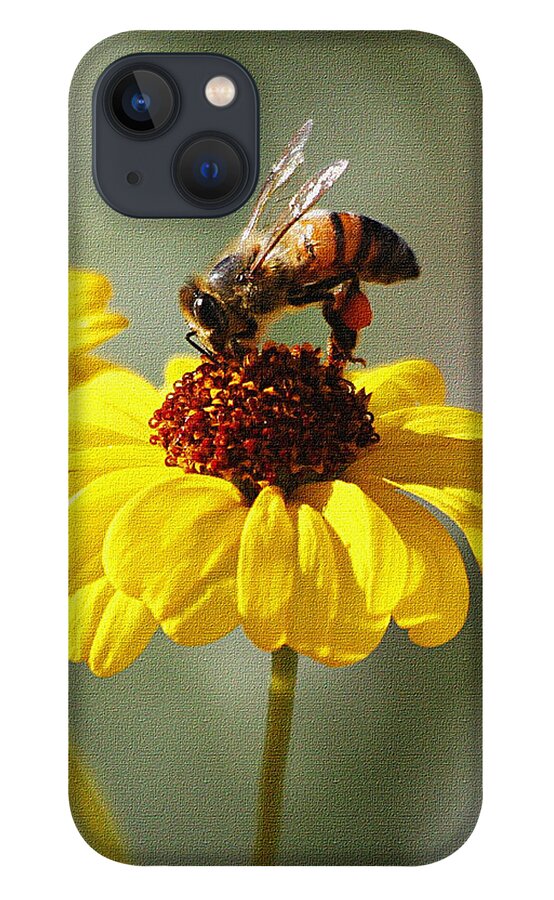 Honey Bee And Brittle Bush Flower iPhone 13 Case featuring the photograph Honey Bee And Brittle Bush Flower by Tom Janca