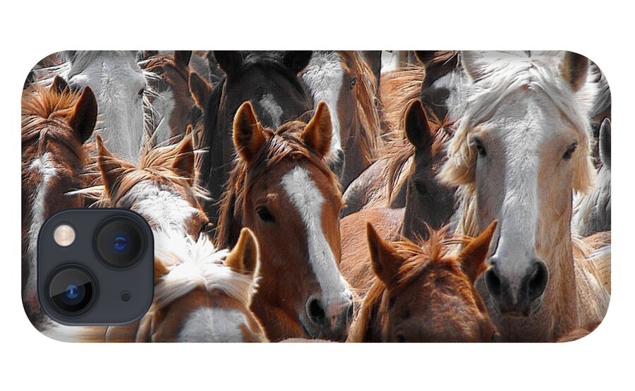 Horse iPhone 13 Case featuring the photograph Horse Faces by Kae Cheatham