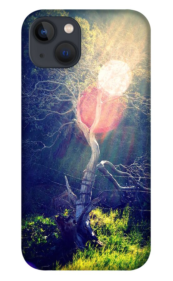 Tree iPhone 13 Case featuring the photograph I Saw the Light by Lisa Holland-Gillem