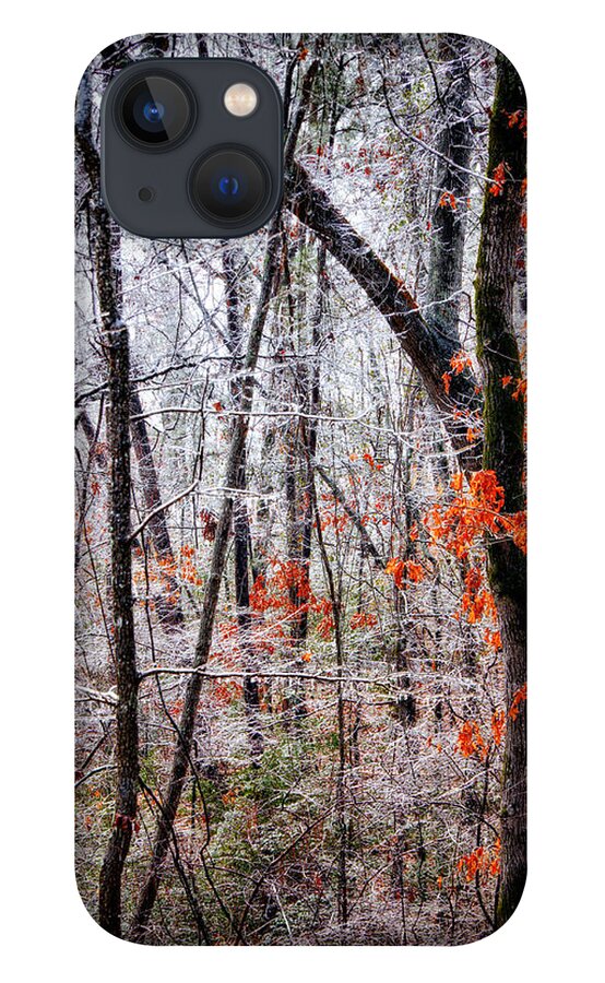 Freezing Rain iPhone 13 Case featuring the photograph Ice Trees by Daniel George