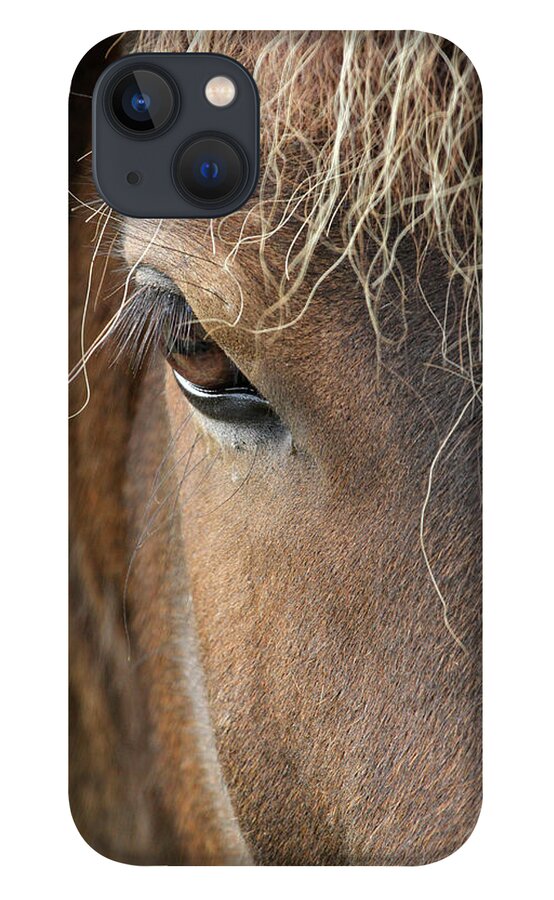 Horse iPhone 13 Case featuring the photograph Icelandic Horse by Photographies Olivier Ghettem